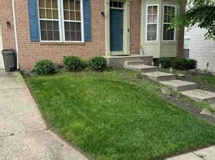 Best 15 Landscapers & Landscaping Companies in Schertz, TX.
